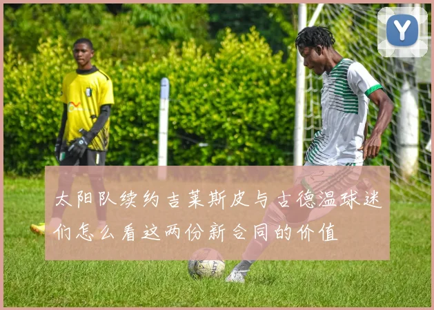 太阳队续约吉莱斯皮与古德温球迷们怎么看这两份新合同的价值