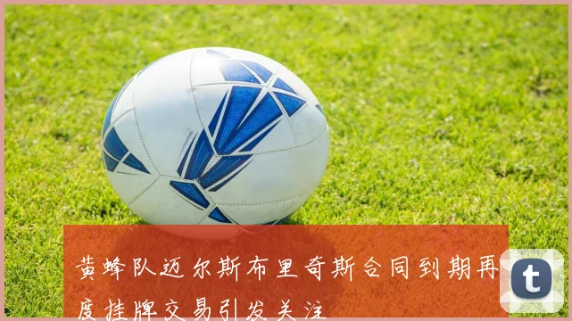 黄蜂队迈尔斯布里奇斯合同到期再度挂牌交易引发关注
